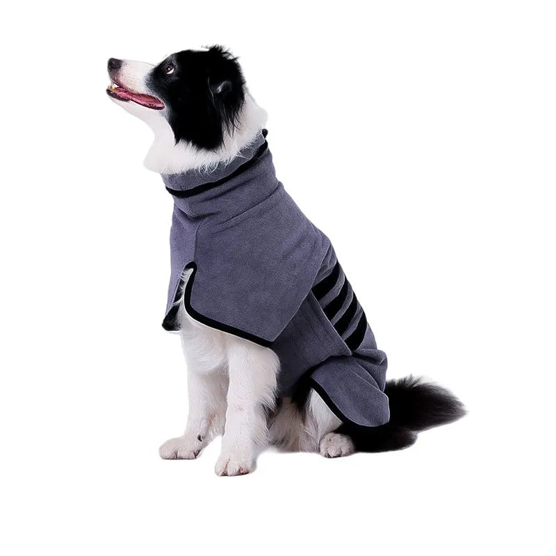 Dog bathrobe in blue with adjustable fastening on a small dog after a bath
