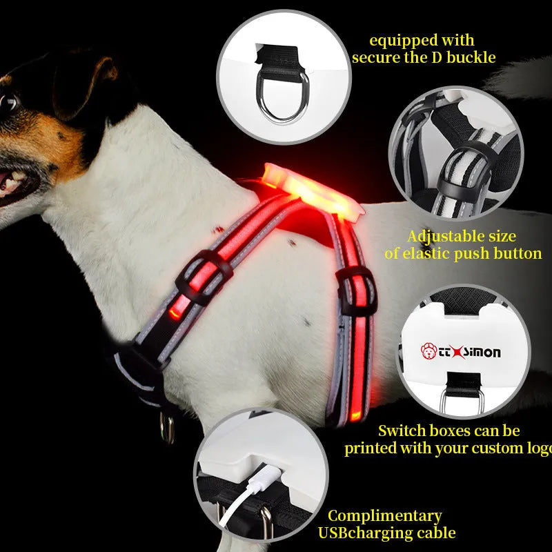 LED dog walking vest with seven-colour optical fibre light and explosion-proof straps on a dog outdoors at night