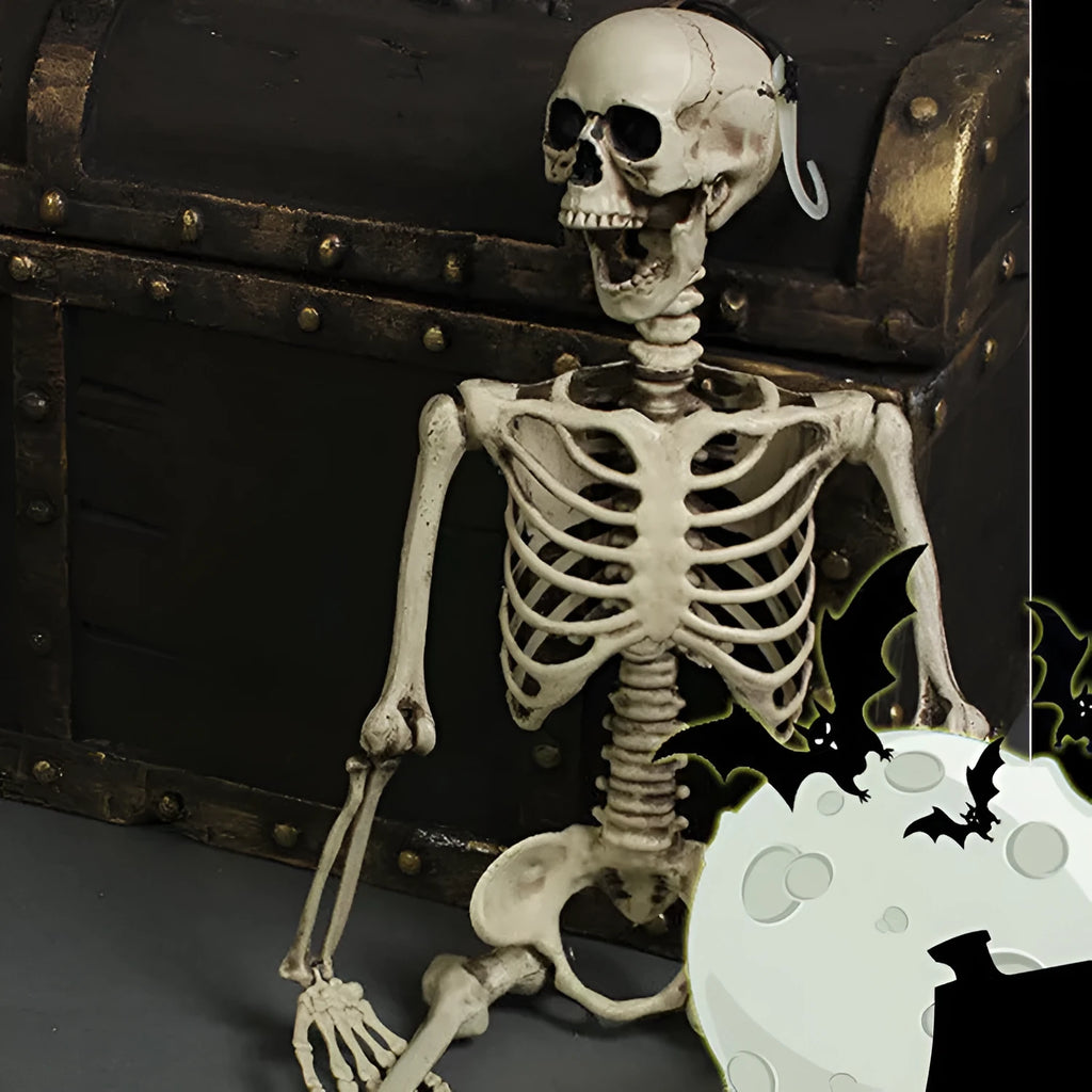 Full-size 170cm plastic skeleton prop with detailed skull and bone simulation on a white background.