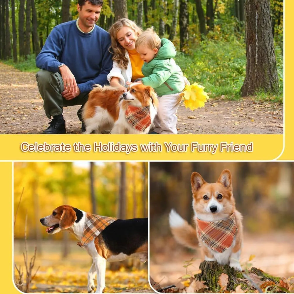 Classic plaid dog bandana with tassel edges in autumn colours on canine