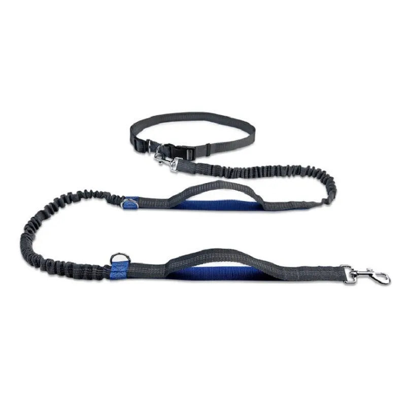 Blue adjustable waist dog running belt leash extended on grass
