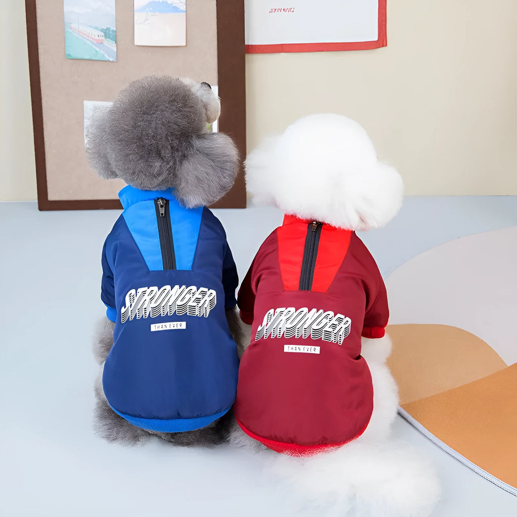 Red cotton dog coat with V-shaped front splicing design on a pet