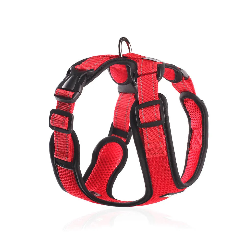 Mesh I-shaped reflective dog harness in blue with polyester rope on white background