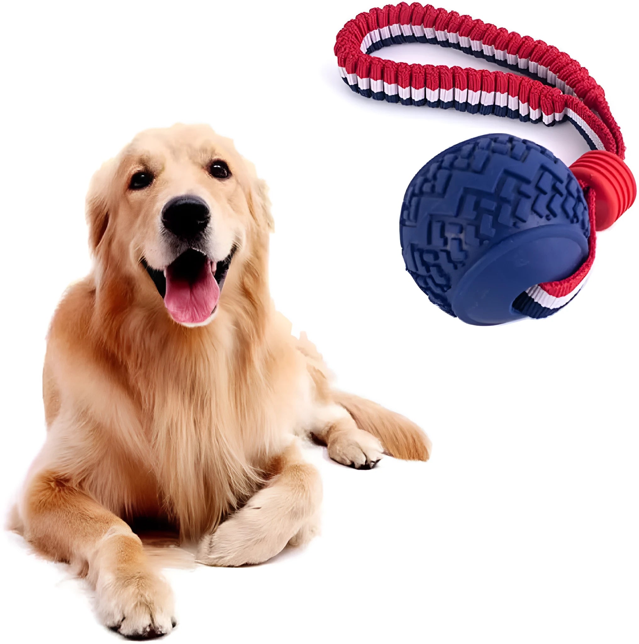 Blue dog ball with rope toy showing textured rubber ball and rope handle