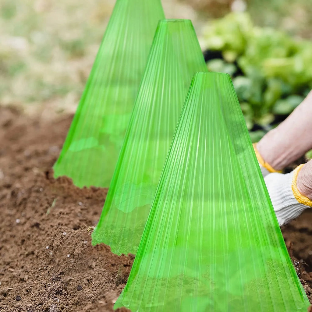 Reusable square bell jar plastic plant cover protecting a young plant in garden soil