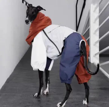 Blue four-legged polyester dog jacket on a medium-sized dog, outdoor setting