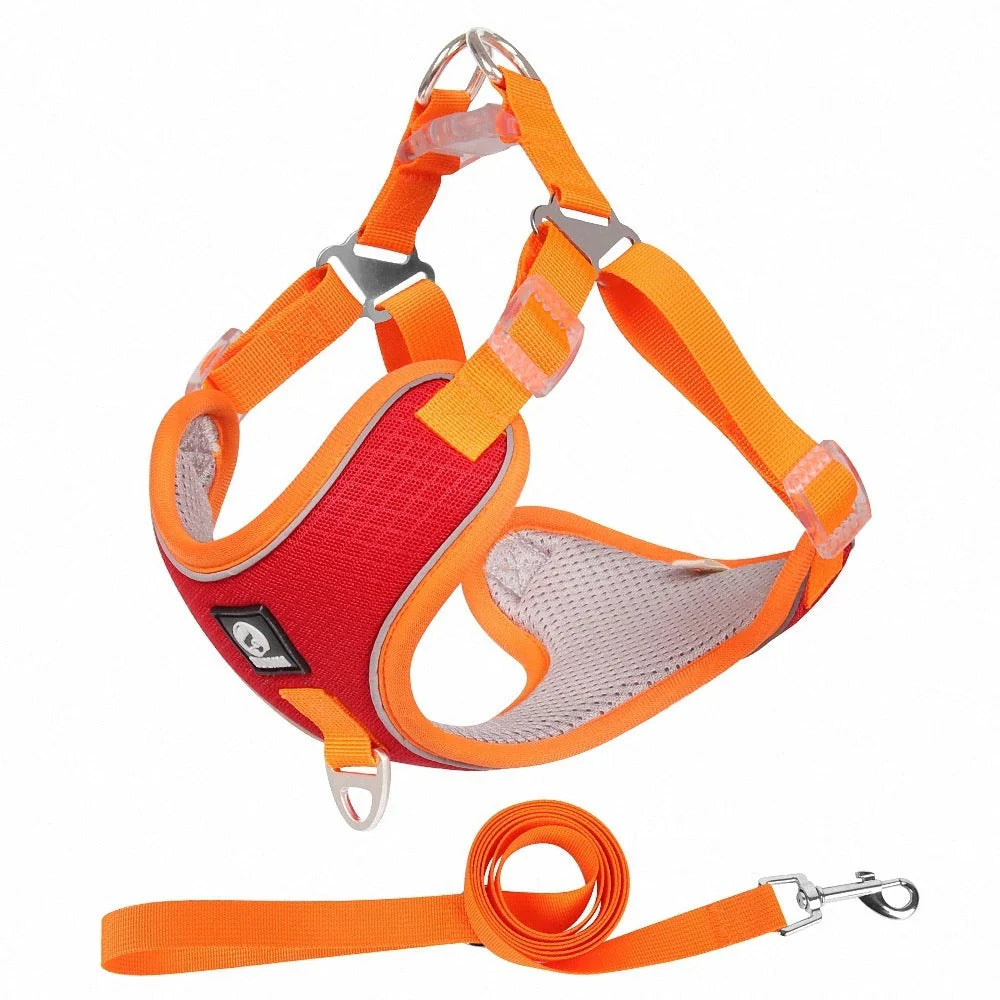Adjustable breathable mesh dog harness with reflective piping in various colors