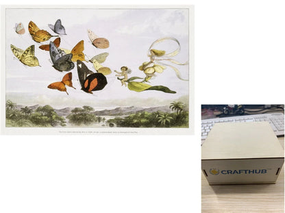 Animal Puzzle Craft Hub A3 Size Wooden Box for puzzle storage and display