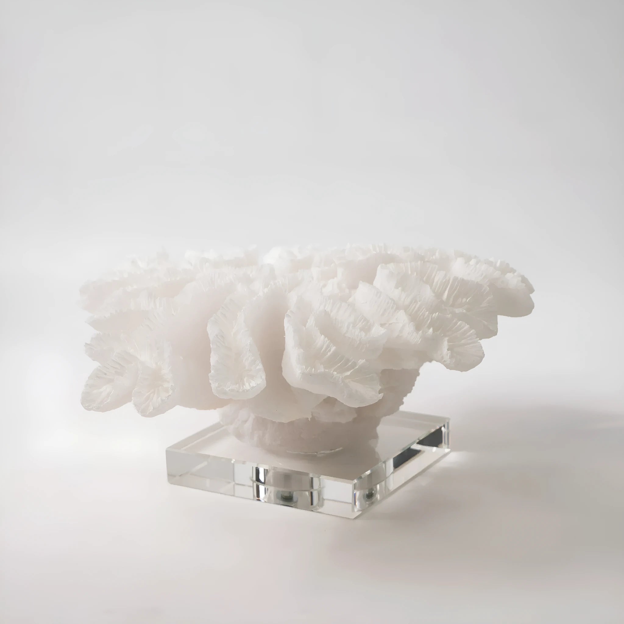 Coral resin decorative sculpture 34x31x15cm on a shelf, coral colour model A167