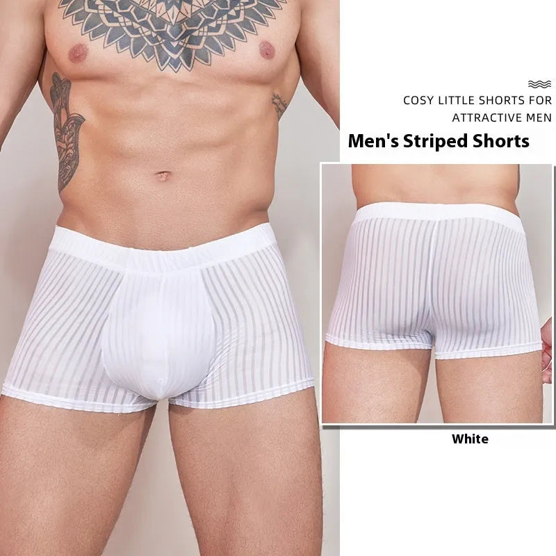 Men's thin transparent striped nylon briefs in black, dark grey and white colours.