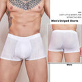 Men's thin transparent striped nylon briefs in black, dark grey and white colours.