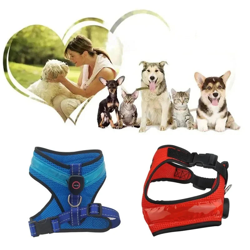 LED Luminous Dog Harness with USB charging and reflective design for pet safety