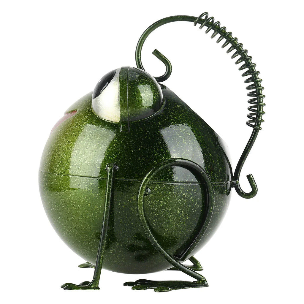Creative cartoon iron frog watering pot wrought iron garden home decoration novelty watering can