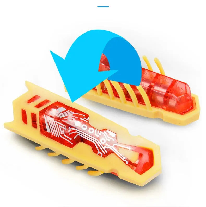 Mini electric ladybird bug cat toy crawling on floor with PVC construction and automatic movement