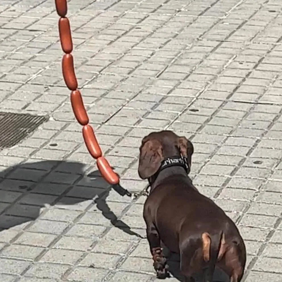 Brown dog rope toy with sausage segments and hand grip measuring 108cm length