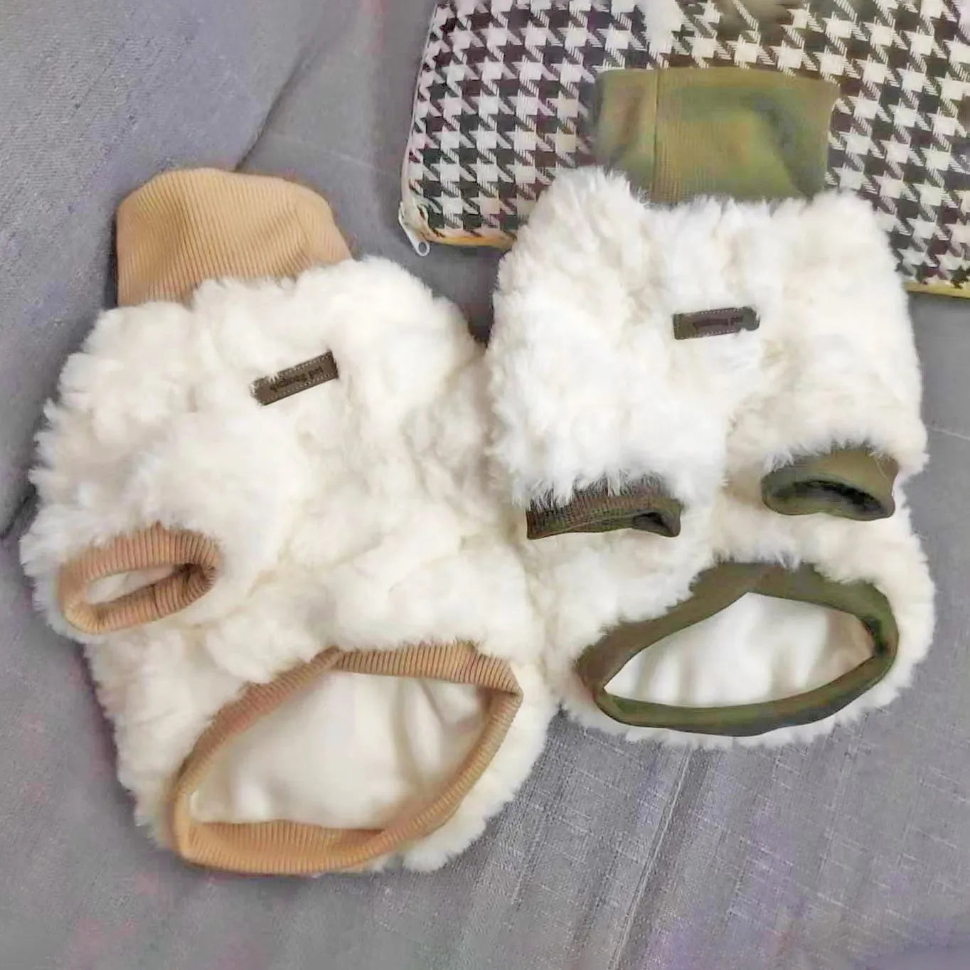 Creamy green turtleneck dog coat with high collar on small dog, showing plush cotton-padded construction