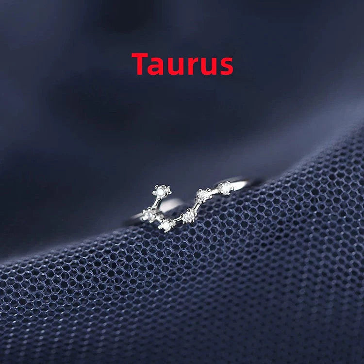 Silver Zodiac Sign Ring with detailed astrology symbols, electroplated for durability