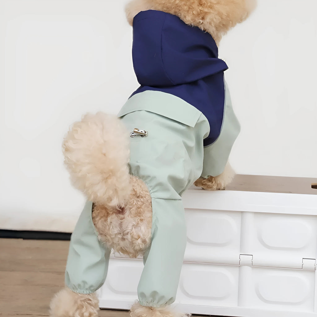 A small dog wearing a khaki-coloured British-style waterproof polyester jacket.