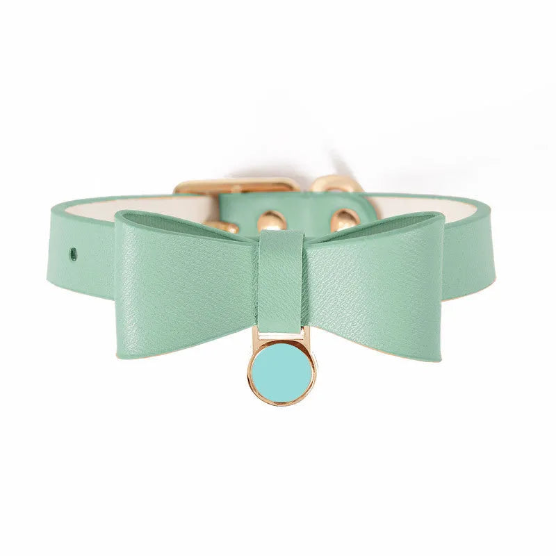 Brown leather cat collar with metal buckle on a white background