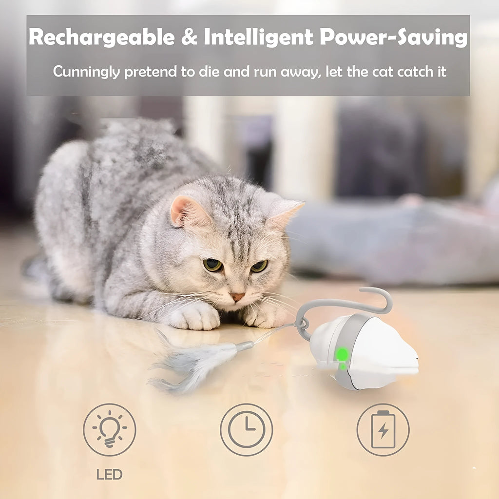 Gray 360 rolling mouse cat toy with feather tease on a floor