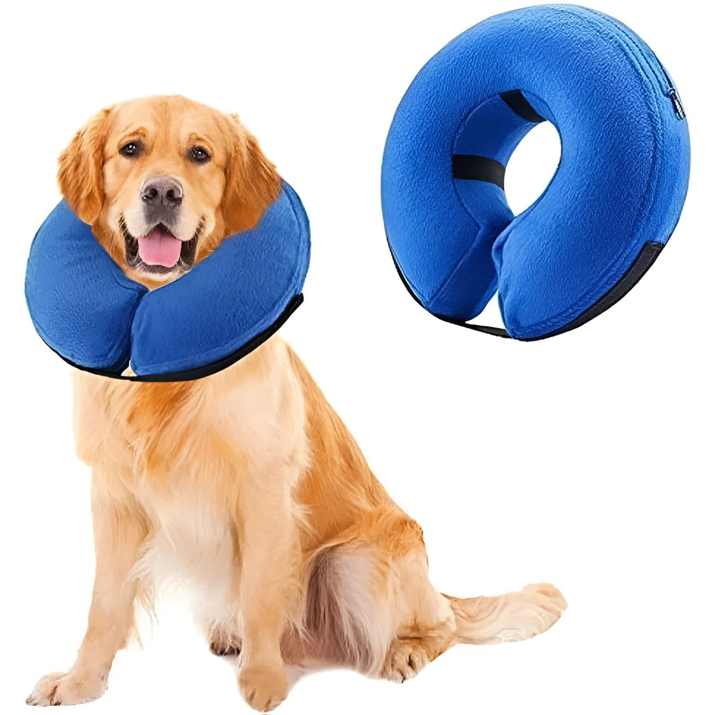 Blue inflatable dog recovery collar with velcro closure shown beside size measurement chart