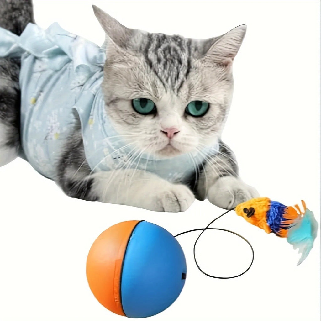 Blue and orange interactive cat toy set with plush mouse and ball for indoor exercise
