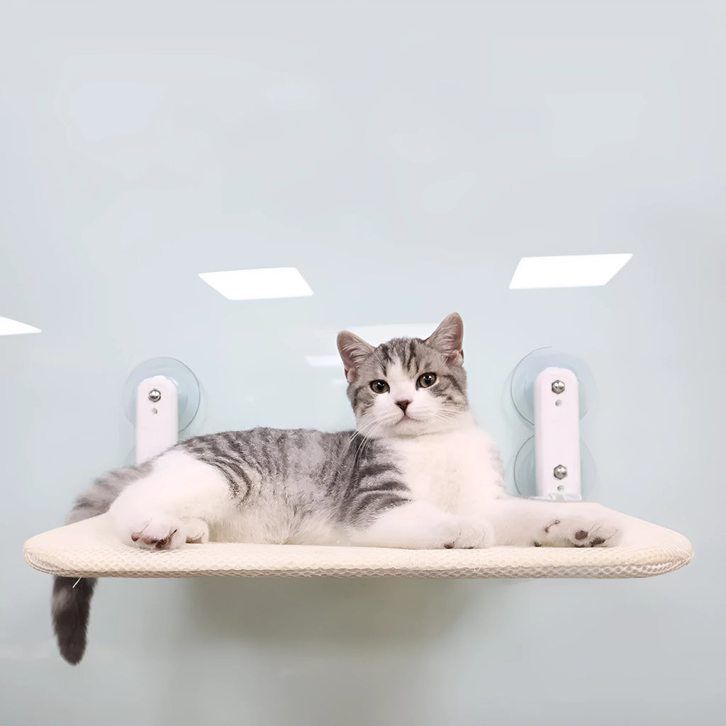 Stainless steel cat window hammock with suction cups attached to glass