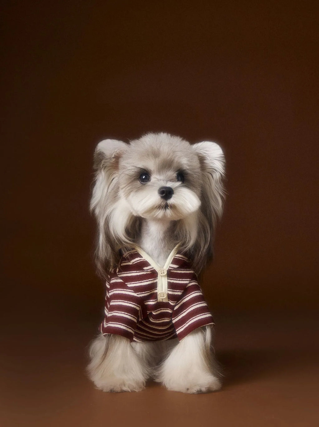 Striped embroidered sailor collar pet sweatshirt in coffee strip for small dogs