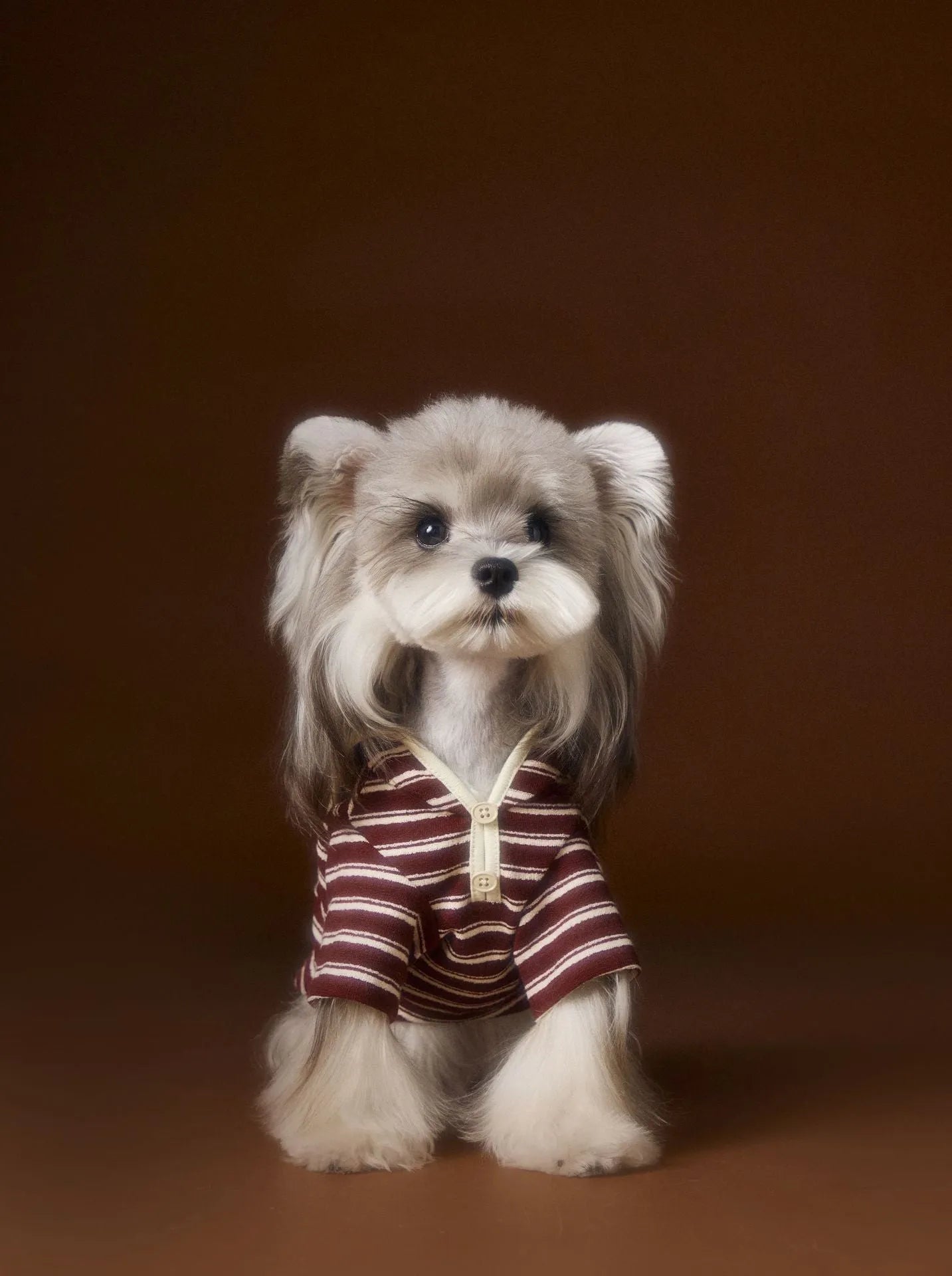 Striped embroidered sailor collar pet sweatshirt in coffee strip for small dogs