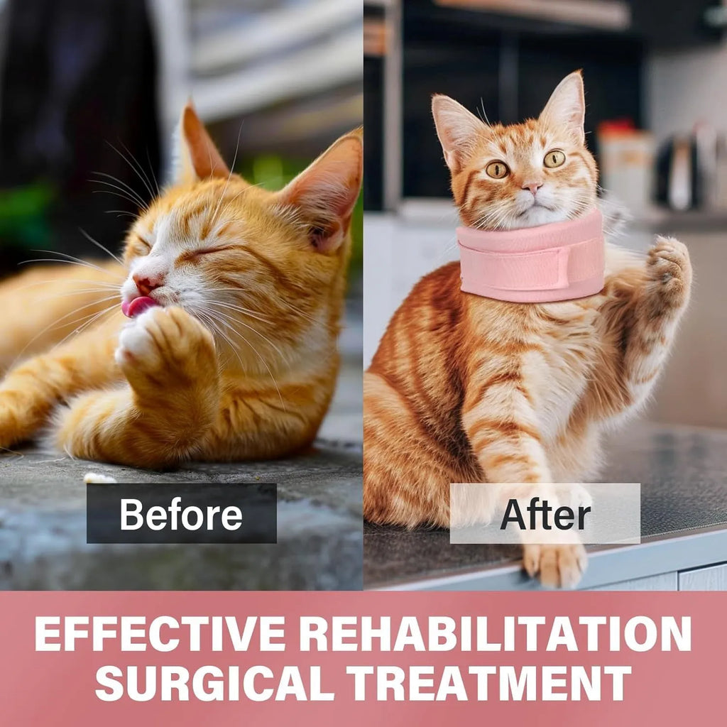 Soft cat cone recovery collar in grey or pink with four size options for post-surgery protection