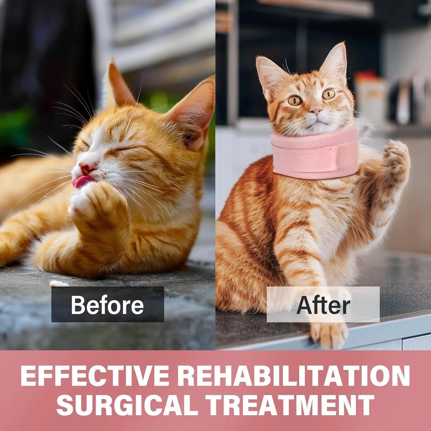 Soft cat cone recovery collar in grey or pink with four size options for post-surgery protection
