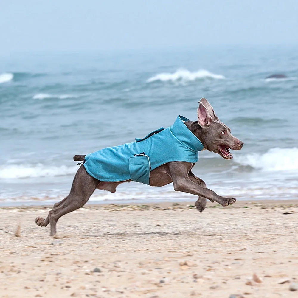 Polyester dog vest for medium and large dogs in rose red, light blue and grey colours