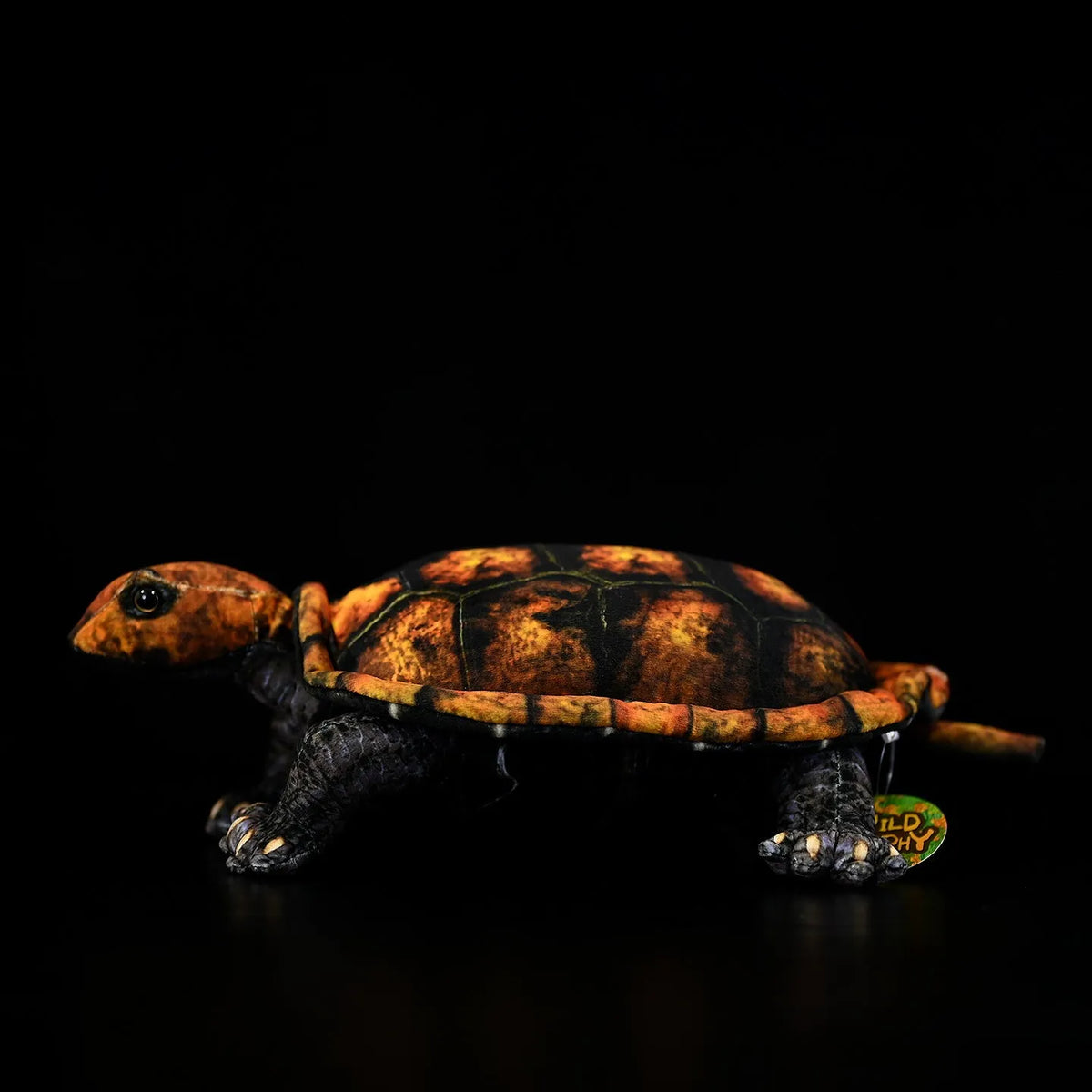 Coffee-coloured Japanese stone turtle plush toy 32cm from mouth to tail on neutral background
