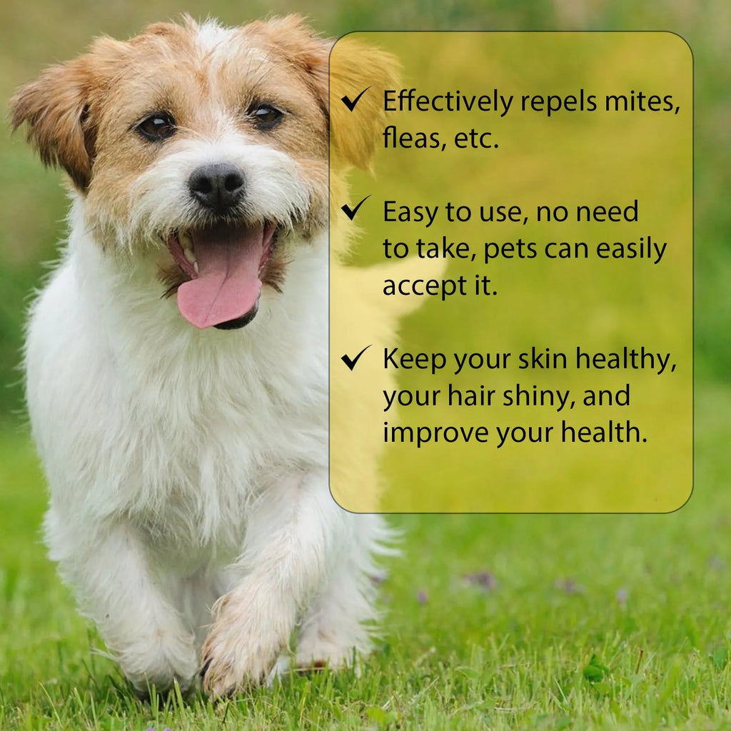 1ml dog flea and tick repellent drops with mugwort and arnica extract in a small vial