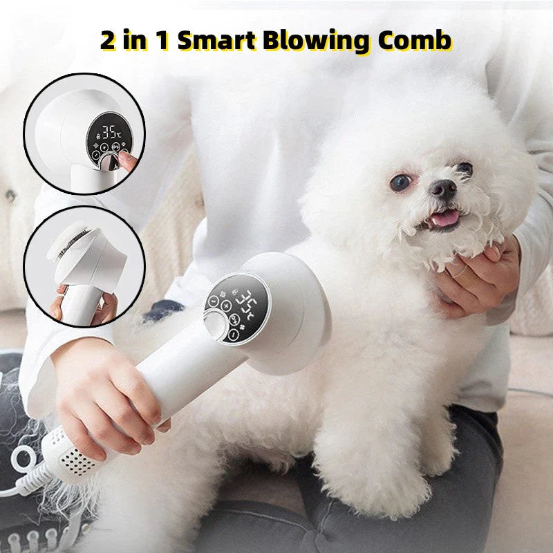 Premium pet hair dryer with powerful drying capabilities, adjustable speed settings, and quiet operation for stress-free grooming of dogs, cats, and small animals.