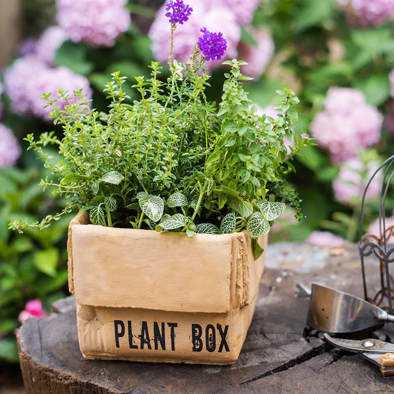 Cement brown paper box style flowerpot with drainage holes for indoor plants.