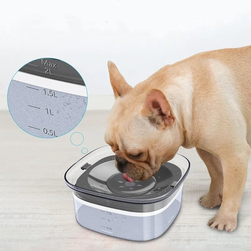 Transparent plastic dog water bowl with floating slow-feeder disk inside.
