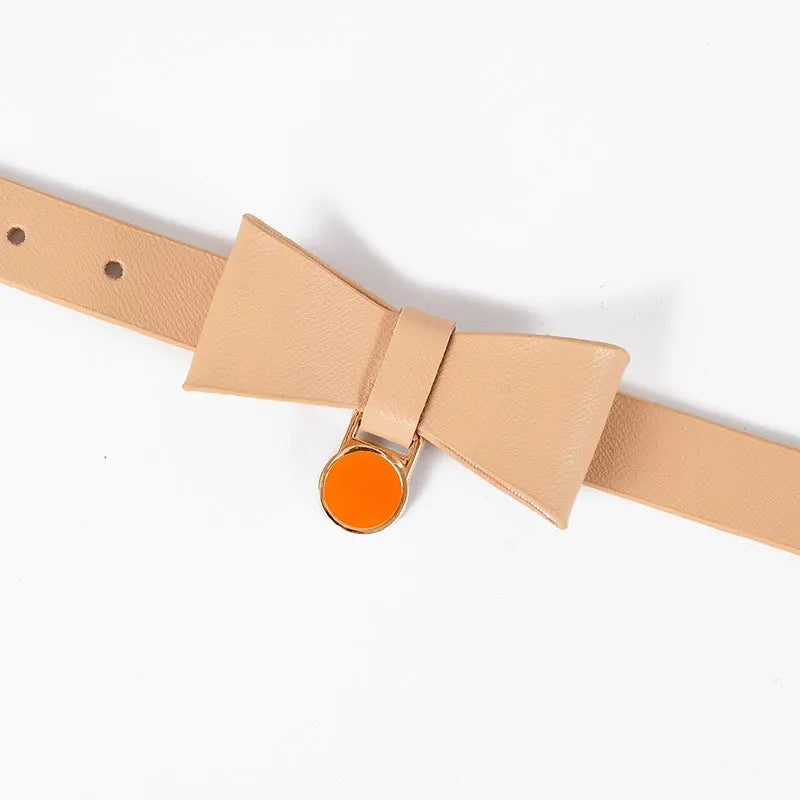 Brown leather cat collar with metal buckle on a white background