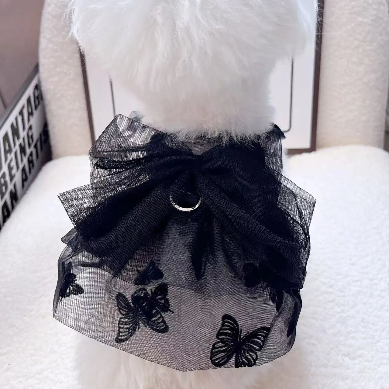 Black gauze princess tulle skirt costume on a small dog or cat.