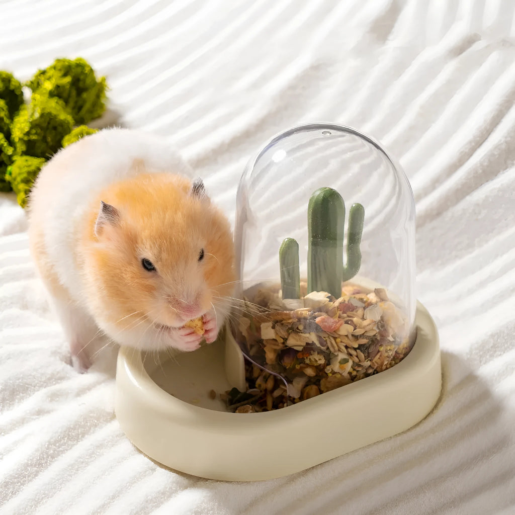 Transparent hamster automatic feeder with 190ml grain capacity in mint green colour