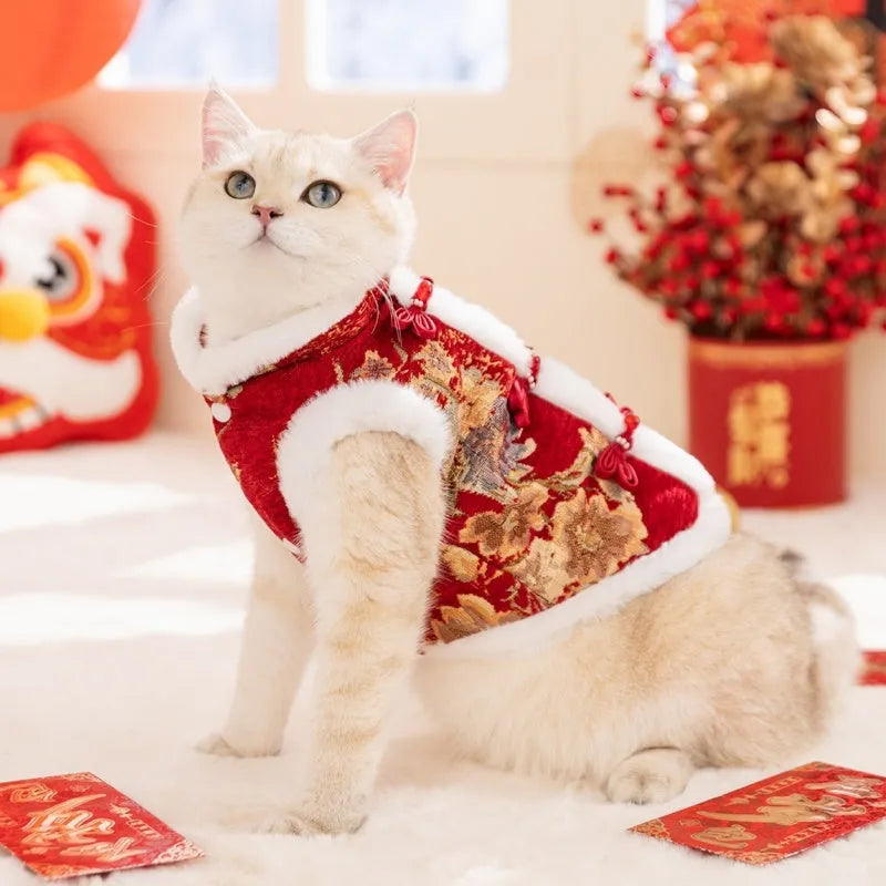 Small dog wearing red and gold brocade Tang suit with frog knot and white fluffy trim for Lunar New Year