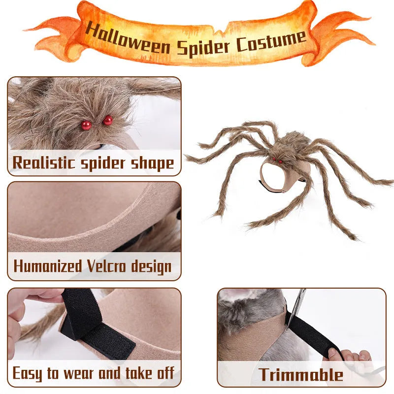 Grey and black spider Halloween costume for a small dog on a carpet.