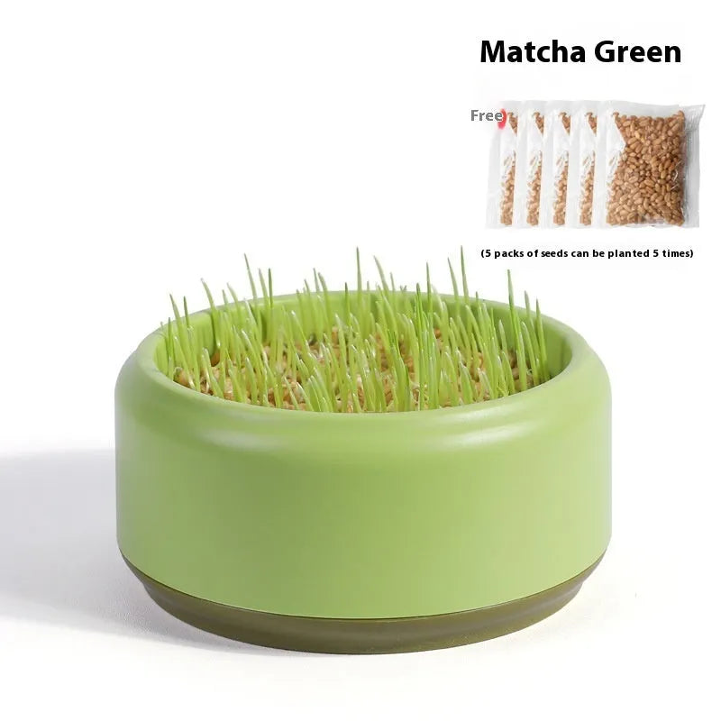 Blue hydroponic cat grass kit with seeds and a reusable growing cup