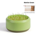 Blue hydroponic cat grass kit with seeds and a reusable growing cup