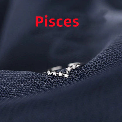 Silver Zodiac Sign Ring with detailed astrology symbols, electroplated for durability