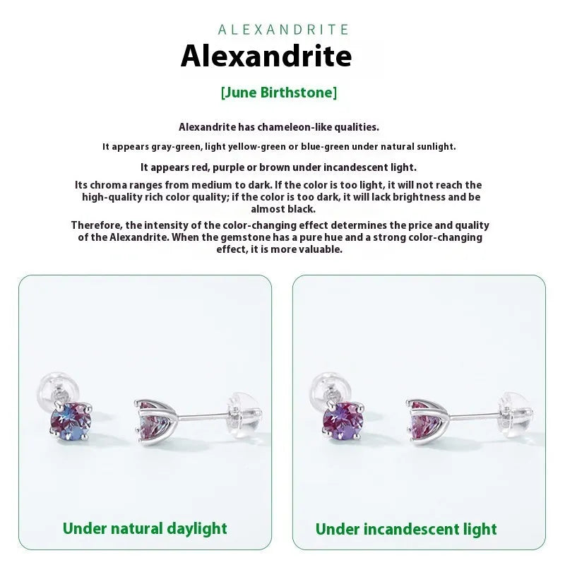 Simple round geometric Alexander stone stud earrings in 925 sterling silver.