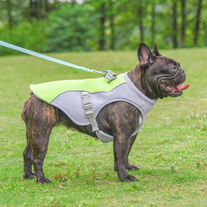 Breathable dog cooling vest in various colors and sizes, designed to keep pets cool and comfortable during outdoor summer activities