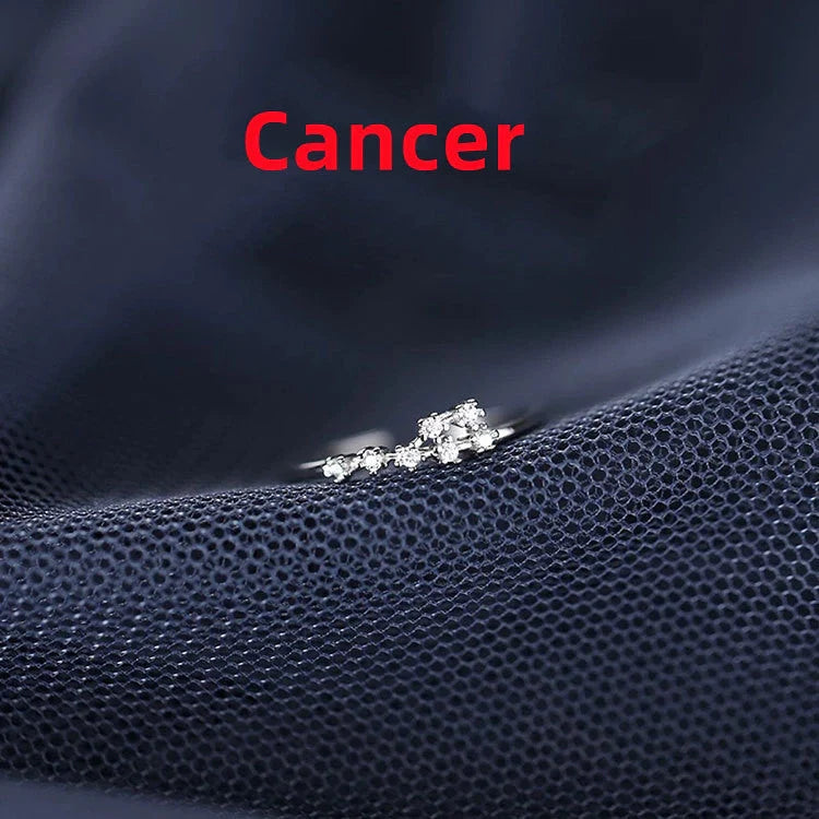 Silver Zodiac Sign Ring with detailed astrology symbols, electroplated for durability