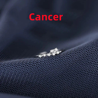 Silver Zodiac Sign Ring with detailed astrology symbols, electroplated for durability