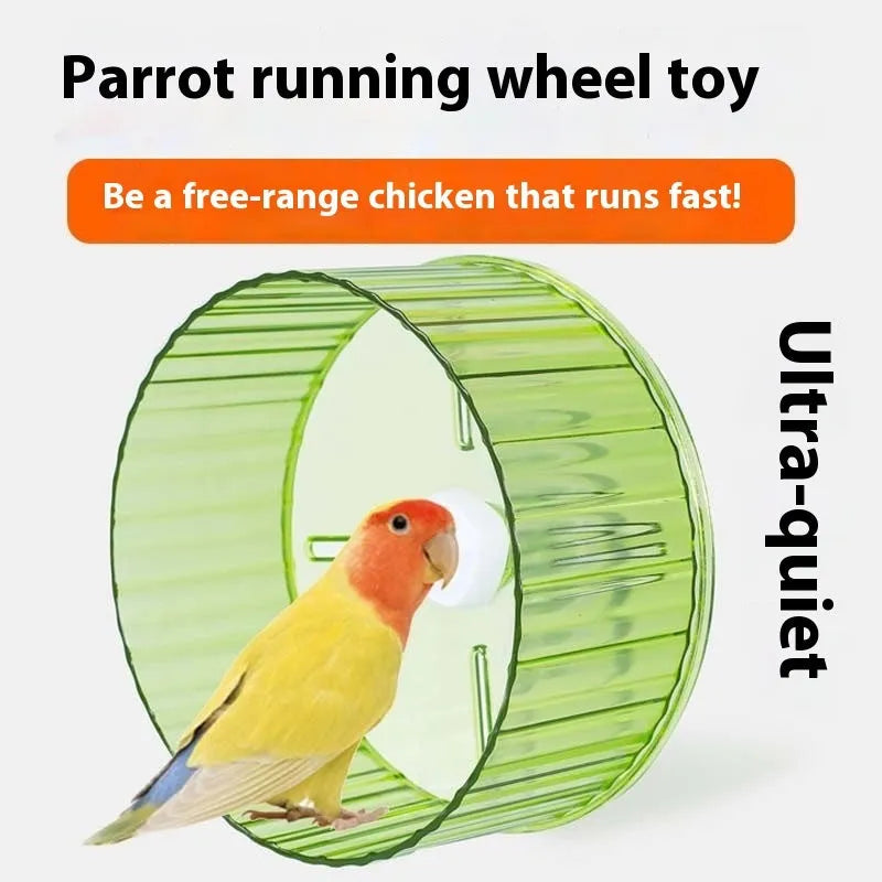 Parrot wheel running toy bird treadmill exercise wheel in plastic with multiple colour options